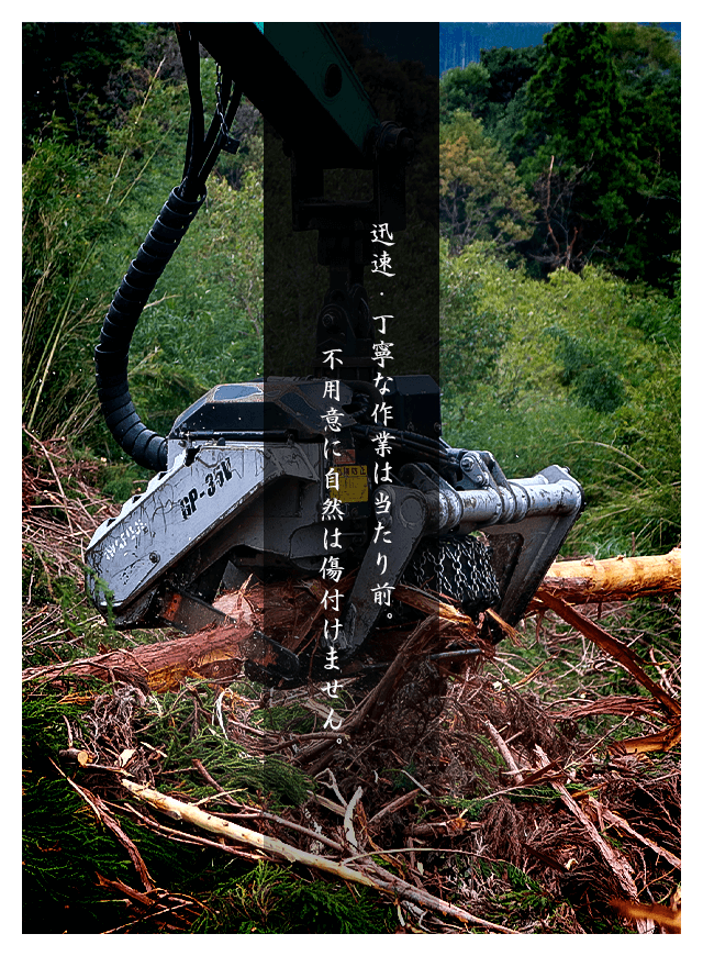 宮崎の重機集材・架線集材は株式会社晋林業。新たな森林を造りやすく